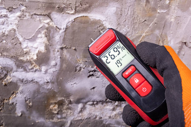 Mold Testing and Removal in Tanque Verde, AZ