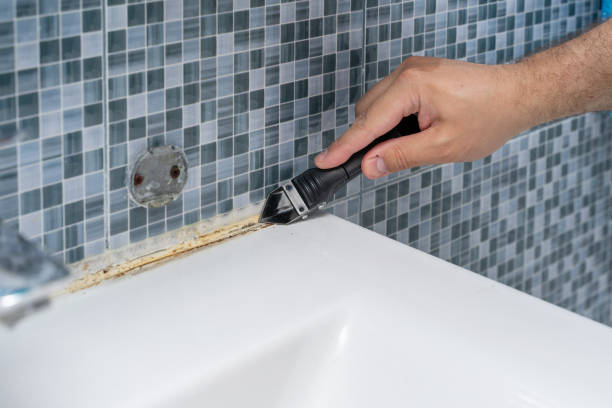 Best Certified Mold Removal  in Tanque Verde, AZ